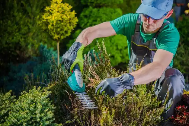 landscaping services Shawnee